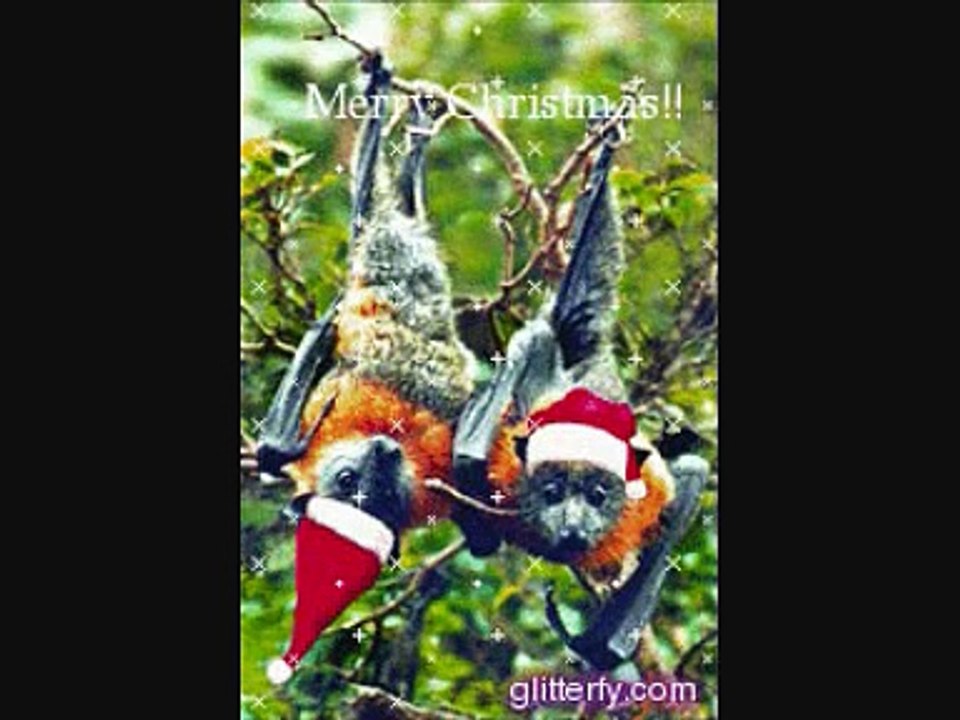 Mot doi nguoi mot rung cay- Hong Nhung