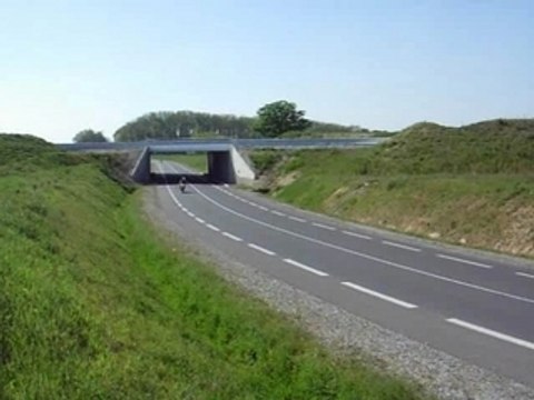 Show moto Hornet 600,FZ6 et Z1000 (1.2)