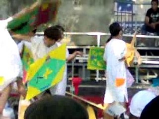 Teddy combat de gladiateurs