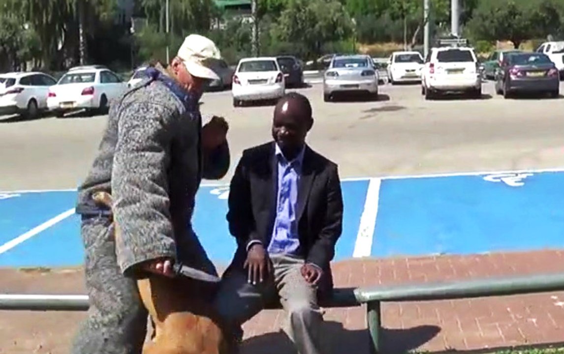 Koruma Köpeği Bıçakla Saldıran Adamı Etkisiz Hale Getirdi