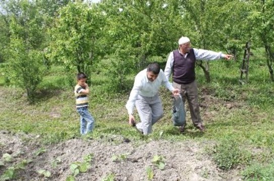Bağ ve Bahçelerini Domuzdan Korumak İsteyen Berber, Saç Kullanıyor