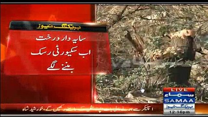 PM Ke D.I khan Ane Per Raste Ke sayedar Darakht(TREE) Katt Liye Gye.