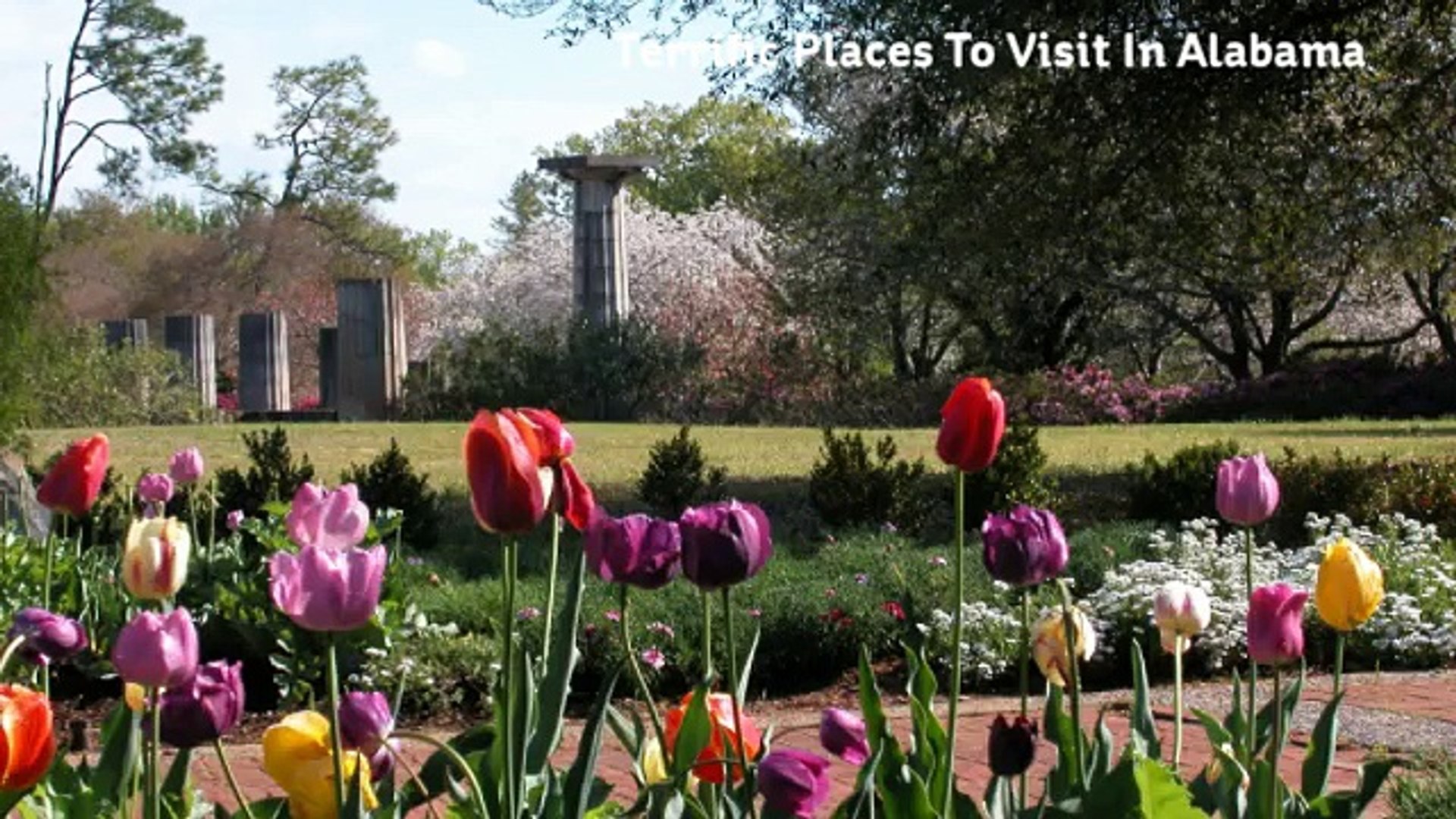 ⁣Awesome Events In Alabama