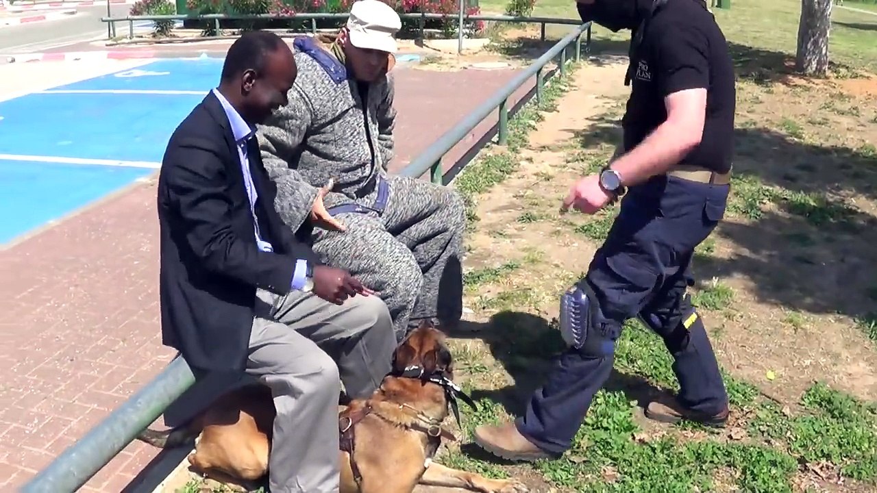 La démonstration d'un chien dressé contre les attaques au couteau !