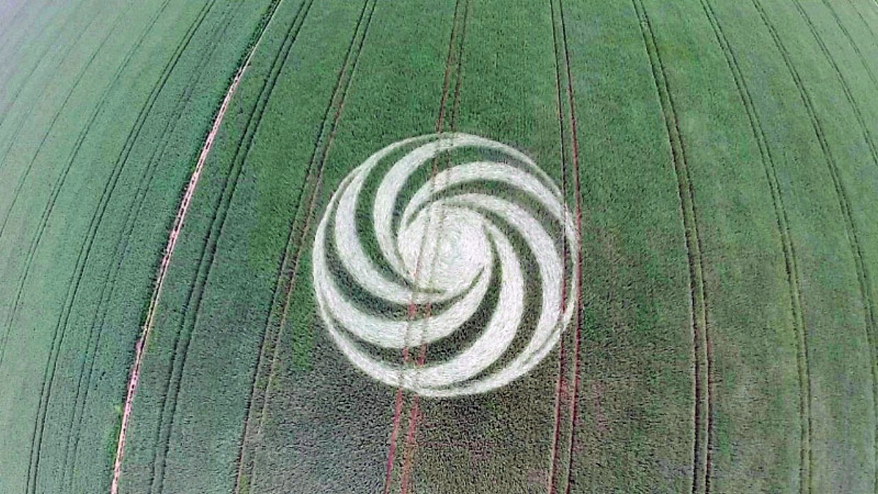 Crop circles 2016 - Brandenburg, Großziethen, Germany