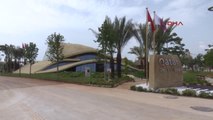Antalya 300 Yıllık 'Çöl Gülü' Expo 2016'da Sergileniyor