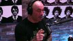 Joe Rogan & Brendan Schaub Talk Cris Cyborg - 