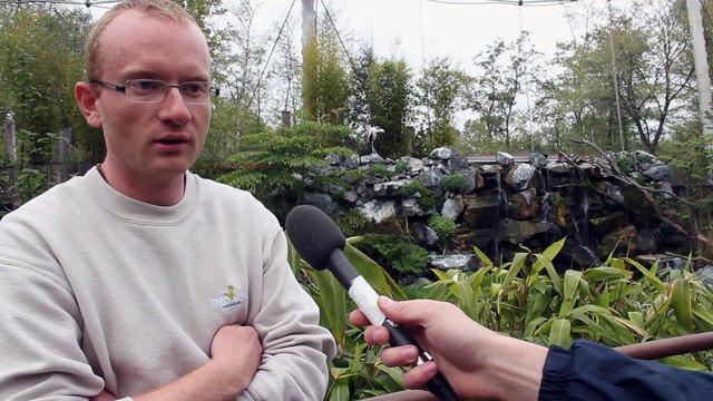 Comment peut-on garder en captivité des oiseaux exotiques ? - Interview Yannick Rousies
