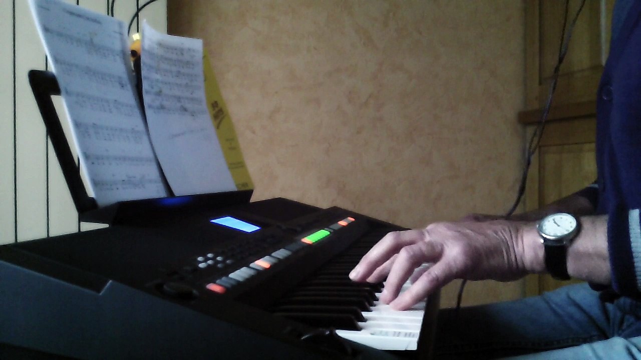 L'  important c' est la rose  REPRISE clavier