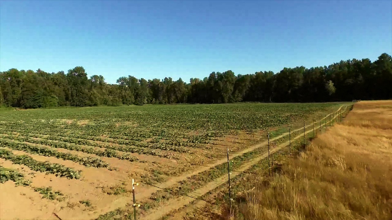 green-river