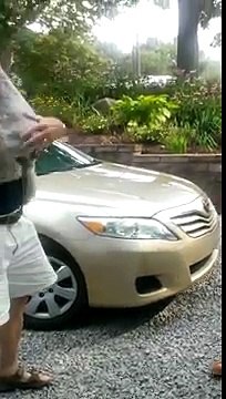 Guardate la Gioia Incontenibile di Questo Cane che Rivede la Sua Padrona dopo 2 Anni