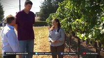 Former NBA Star Yao Ming opens wine tasting room