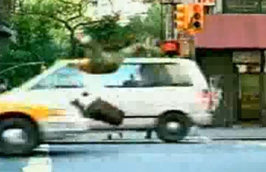 الحذر لا يغير قدر