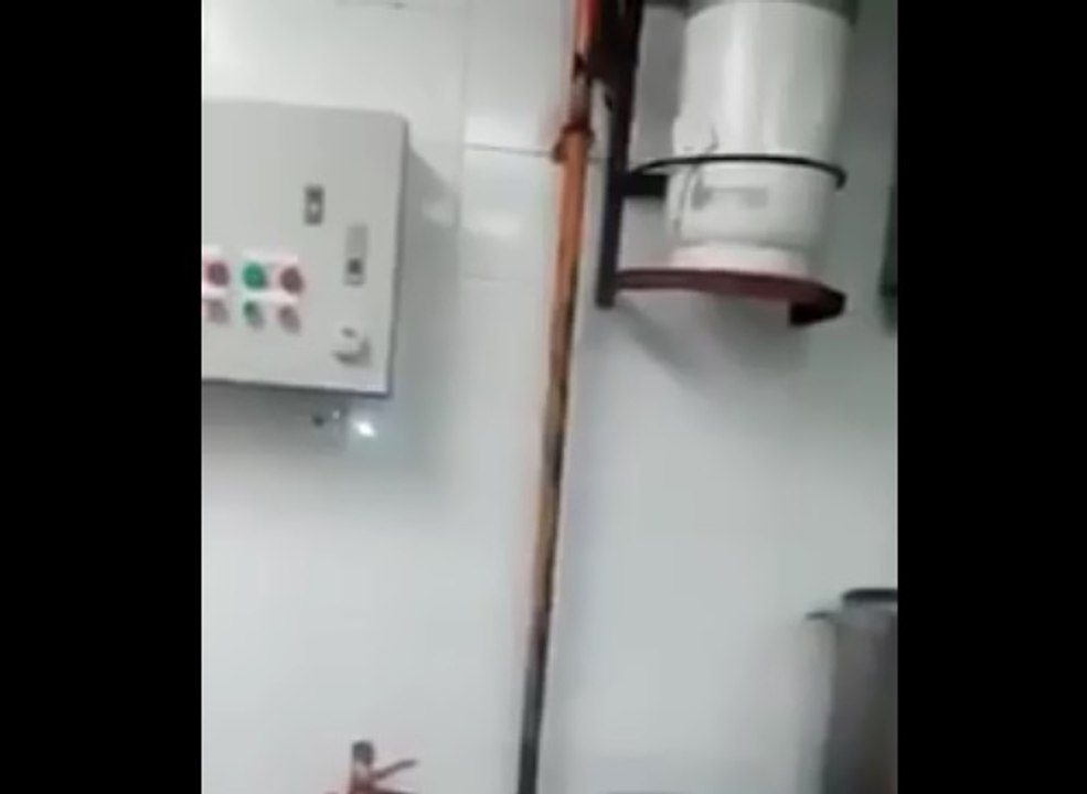 Il allume la lumière d'une cuisines d’un restaurantce qu'il va croiser va le surprendre...