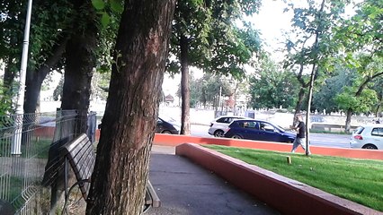 My Little Collie Tut in Titan City - 2016.05.15