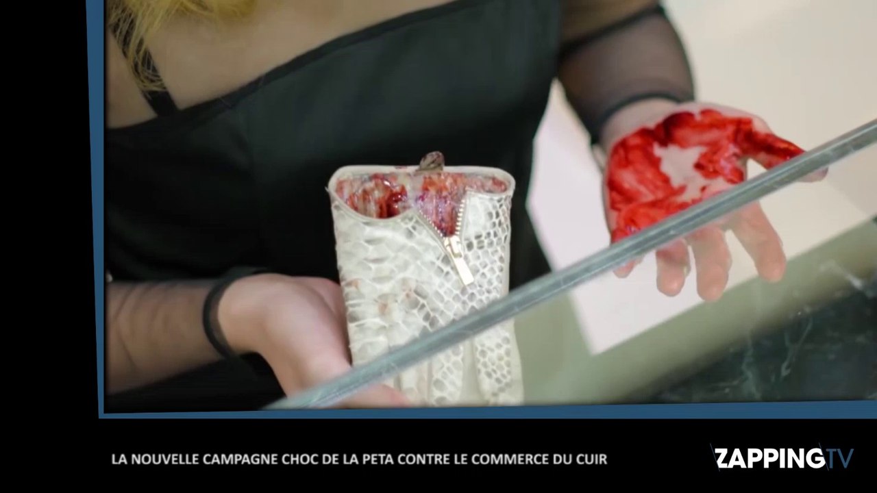 Des organes d'animaux dans des sacs en cuir, découvrez la nouvelle campagne choc de la PETA (Vidéo)