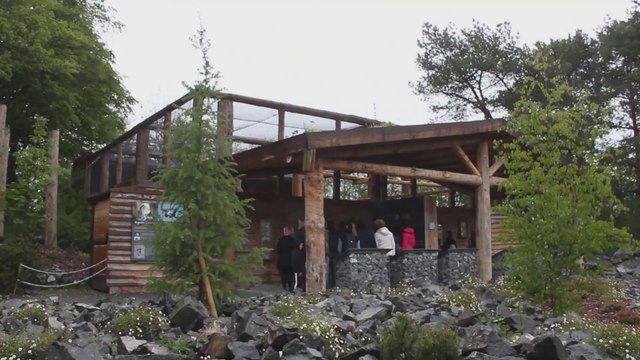 La réintroduction du Gypaète Barbu - Parc des Oiseaux