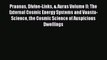 [PDF] Praanas Divine-Links & Auras Volume II: The External Cosmic Energy Systems and Vaastu-Science