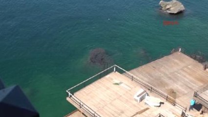 Antalya Ünlü Restoranda Plaj Gerginliği