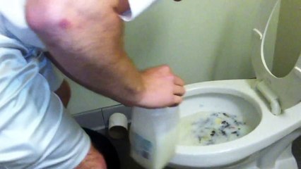 Kid throws up milk and cookies