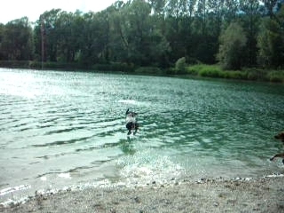 DSCN4135