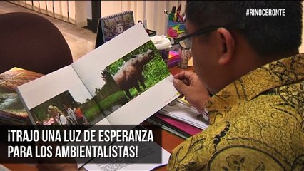 ¡Esperanza natural! Nace una cría de rinoceronte de Sumatra