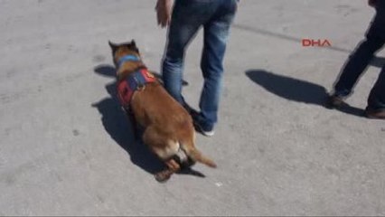 Bodrum Jandarma Denetimlerine En Büyük Destek Onlardan