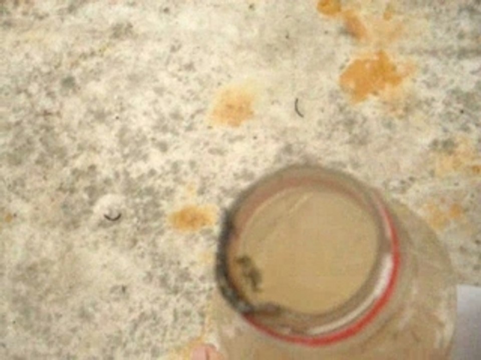 404 - Page Not Found (burn) by raphy