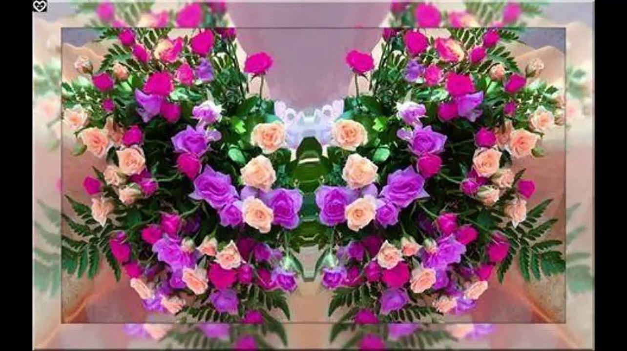 Uvenuce Narcis beli...