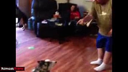 Funny Animals A Funny Animal Videos Compilation 2016 Funny videos try not to laugh