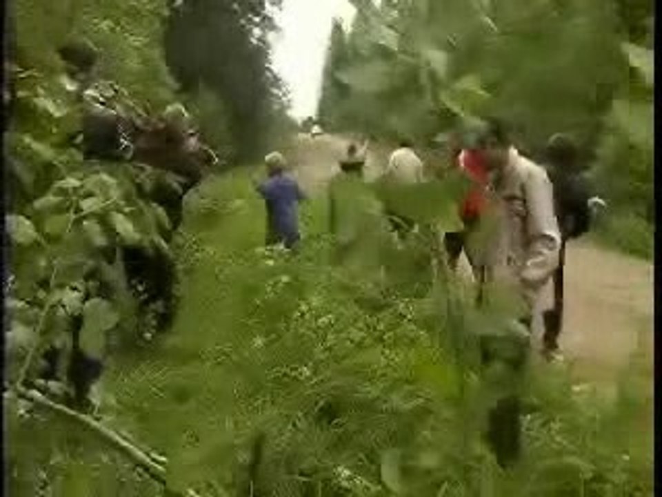sortie de rally