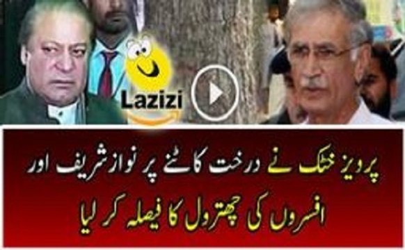 CM KPK Pervaiz Khattak Orders To Take Action Against Nawaz Sharif in Cutting Trees