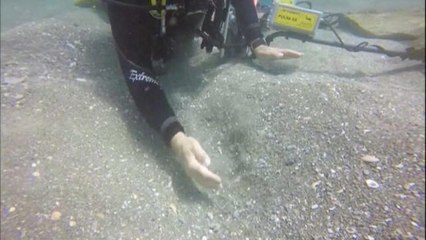 Une cargaison marine de l'époque romaine découverte par des plongeurs israéliens - 17/05/2016 à 18h00