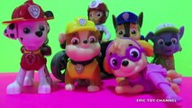 PAW PATROL Nickelodeon Parody  Mommy Pig Peppa Pig OCTOPOD Octonauts HOSPITAL