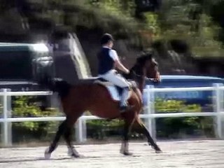 2008-07-25 Urmalijn - Epona