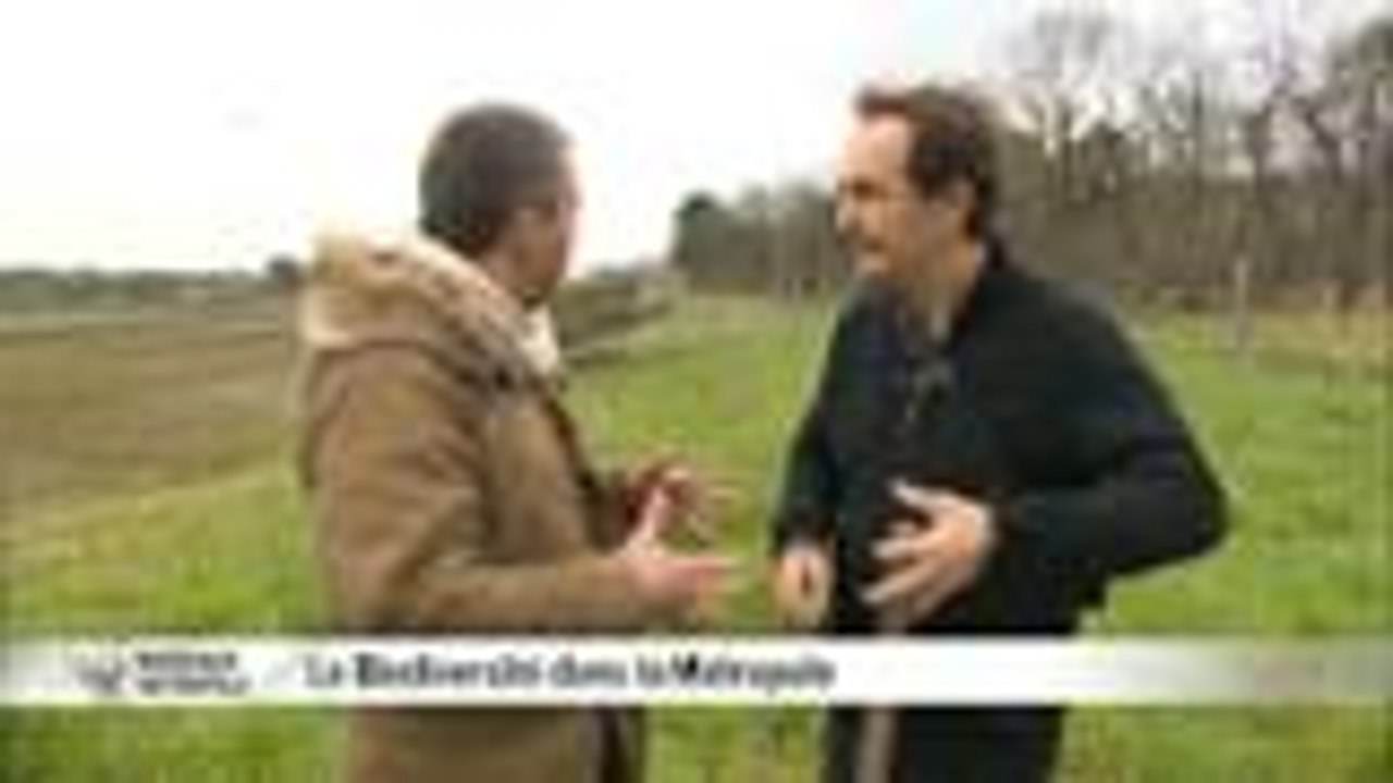 Les RDV de Bordeaux Métropole - La biodiversité