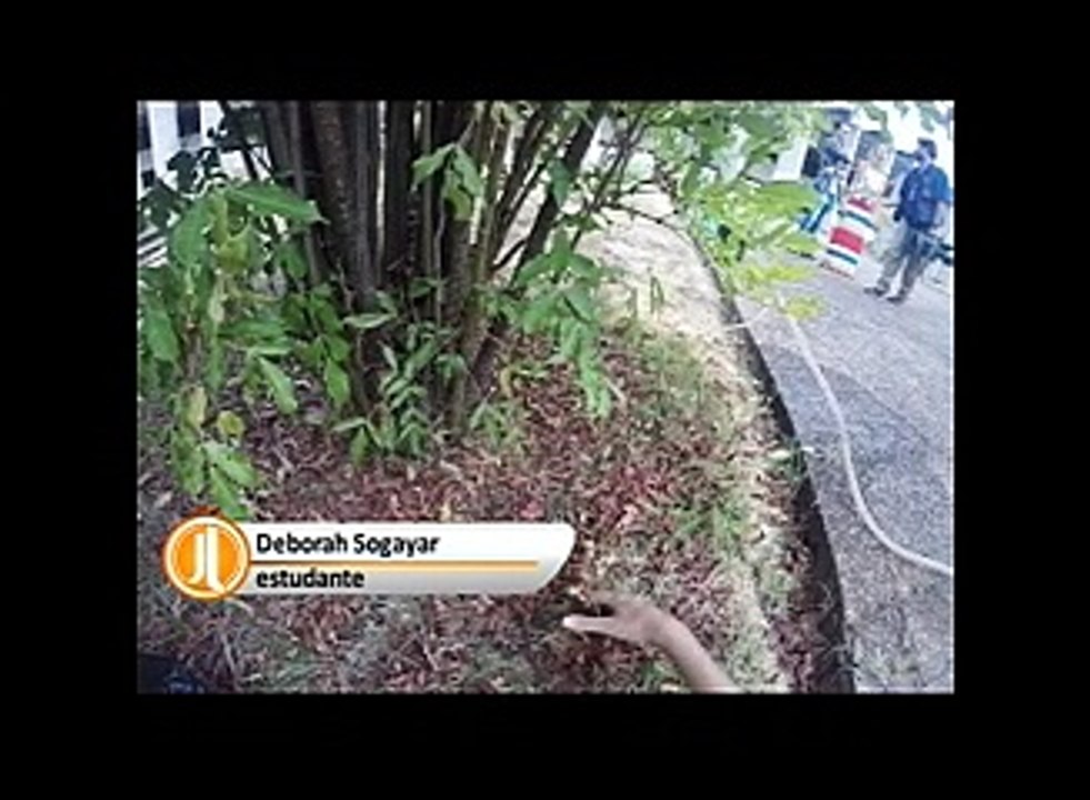 JARDIM MORTO