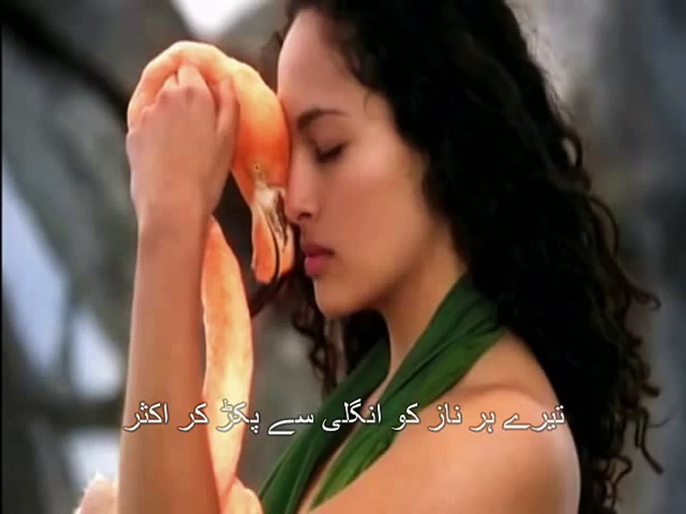 Aa Kisi Sham - Heart Touching Urdu Poetry - Voice Zia Anjum