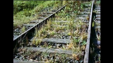 vichy mémoire empoisonnée2 mythe résistancialiste glaive et bouclier