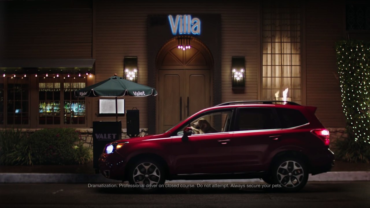 Subaru Dog Tested - Subaru Commercial - Doggie Bag