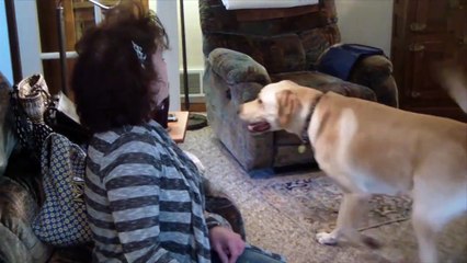 Dog Learns To Fetch PB Snack Ingredients