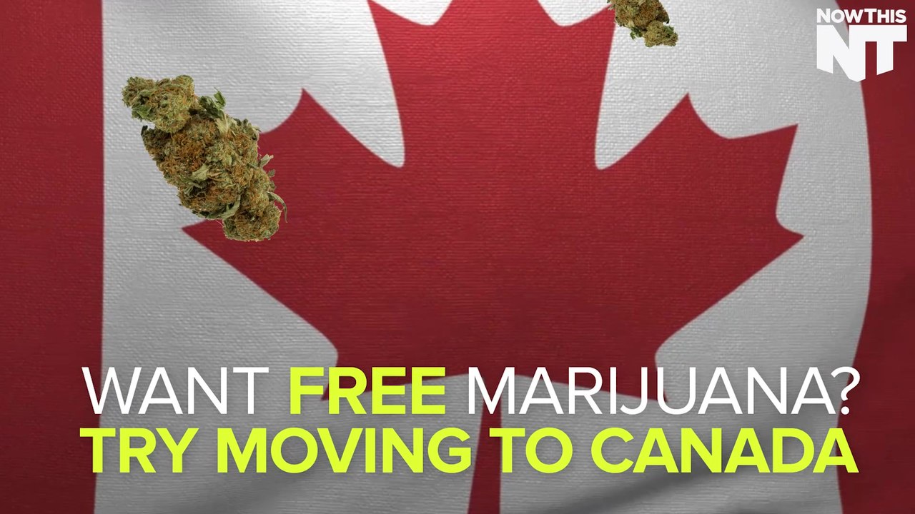 Canadian Insurance Company Agrees To Cover Medical Marijuana