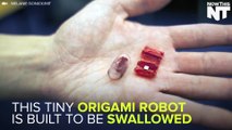 Tiny Origami Robot Works Inside The Human Body