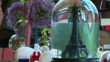 Prefeita de Paris quer despoluir rio Senna