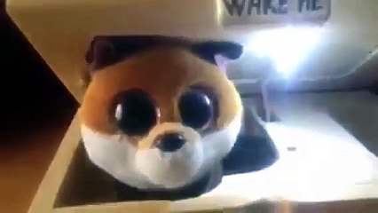 Don't wake me up(Best toy)