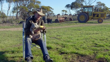 Feeding a farting wombat - Natural World 2016- Episode 5 Preview - BBC Two