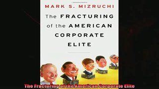 Free book  The Fracturing of the American Corporate Elite