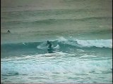 鳥取　井出が浜P:日本の波22　WAVE　OF　JAPAN　ｻｰﾌｨﾝ　1月