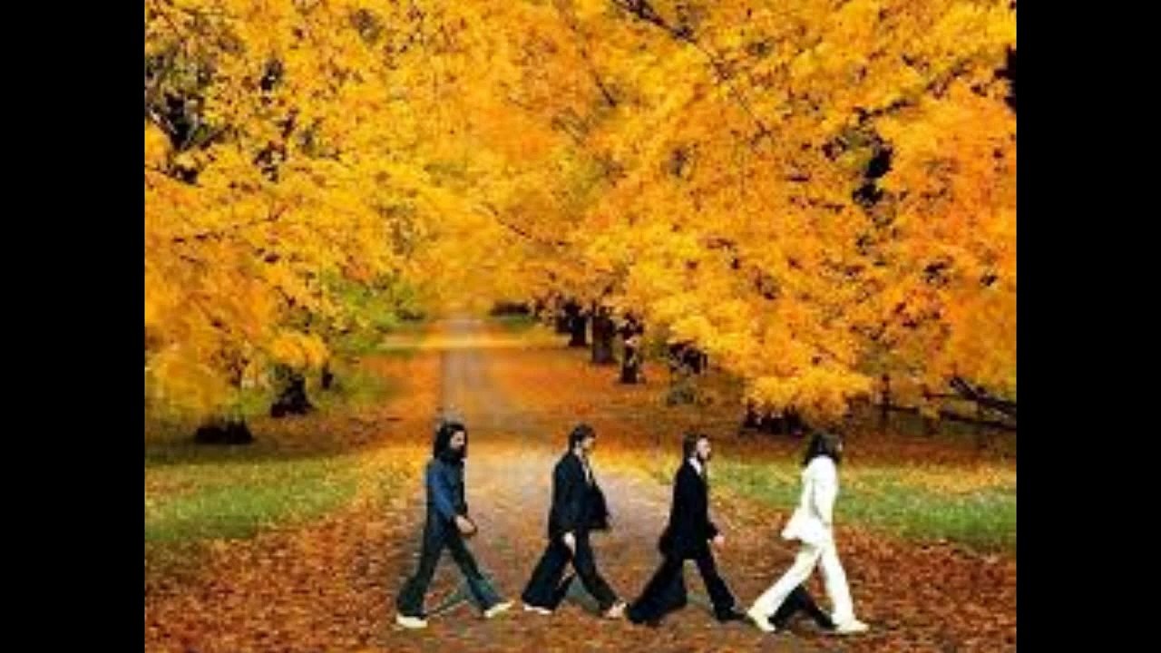 You've Got To Hide Your love  Away,The Beatles(Cover) For Sale Band,Belgrade