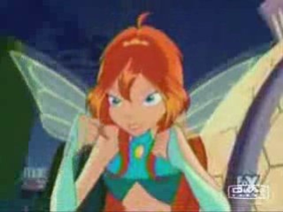 13 winx